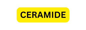 CERAMIDE